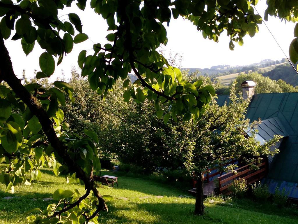 U Mushera Vrchlabí Esterno foto